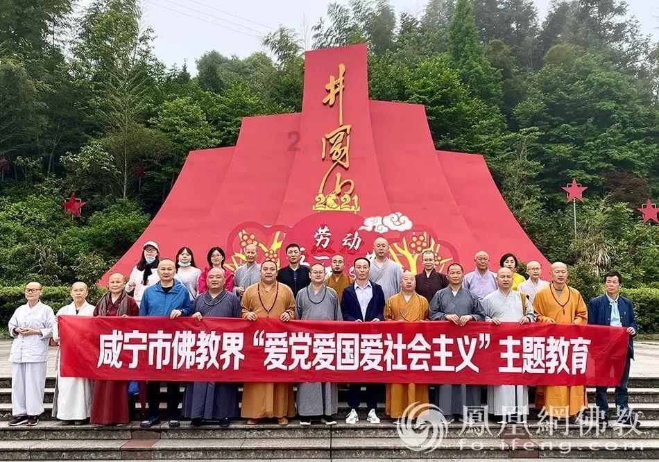 拯救机灵鸟